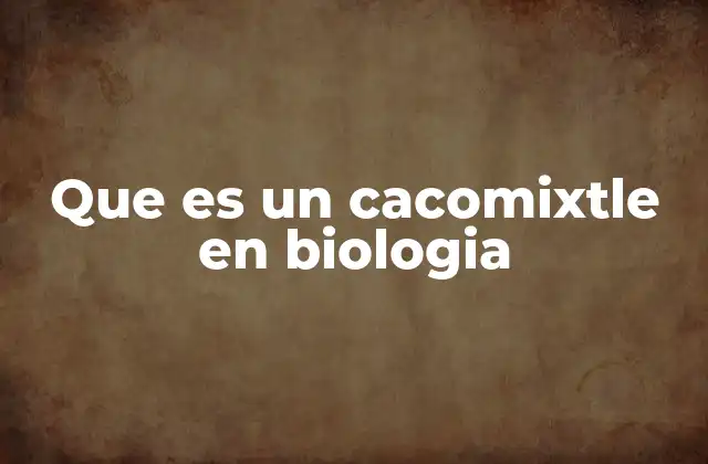 Que es un Cacomixtle en Biologia
