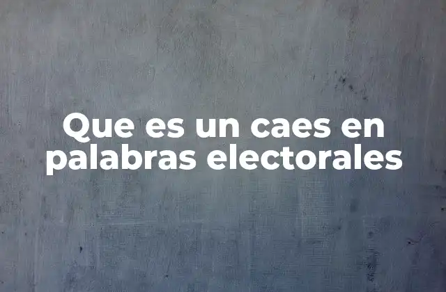 Que es un Caes en Palabras Electorales