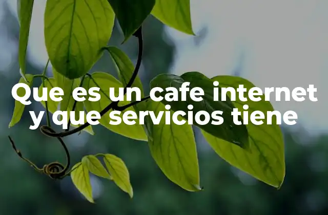 Que es un Cafe Internet y que Servicios Tiene