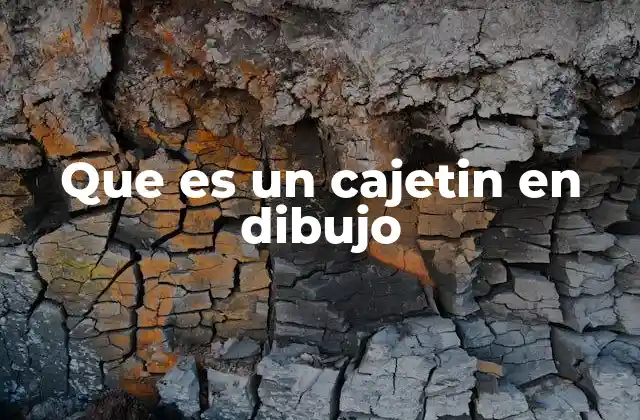Que es un Cajetin en Dibujo