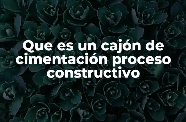 Que es un Cajón de Cimentación Proceso Constructivo