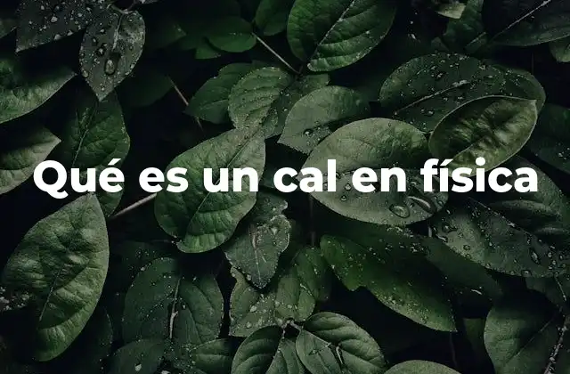 Qué es un Cal en Física