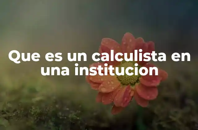 Que es un Calculista en una Institucion 2 El rol del calculista en instituciones modernas