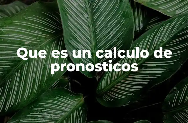 Que es un Calculo de Pronosticos