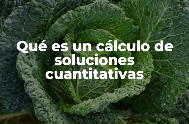 Qué es un Cálculo de Soluciones Cuantitativas