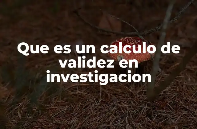 Que es un Calculo de Validez en Investigacion