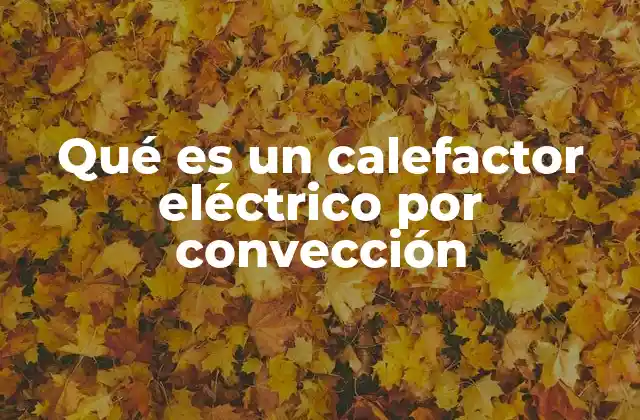 Qué es un Calefactor Eléctrico por Convección 2 Cómo funciona el sistema de calefacción por convección
