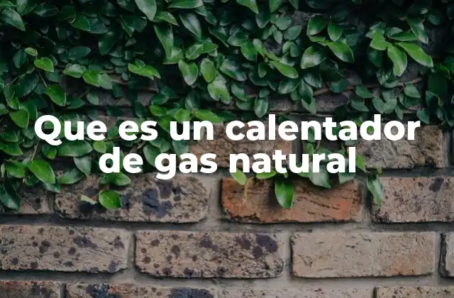 Que es un Calentador de Gas Natural