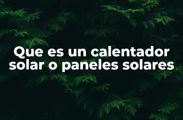 Que es un Calentador Solar o Paneles Solares 2 El papel de la energía solar en el desarrollo sostenible