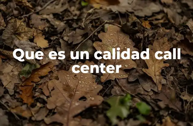 Que es un Calidad Call Center