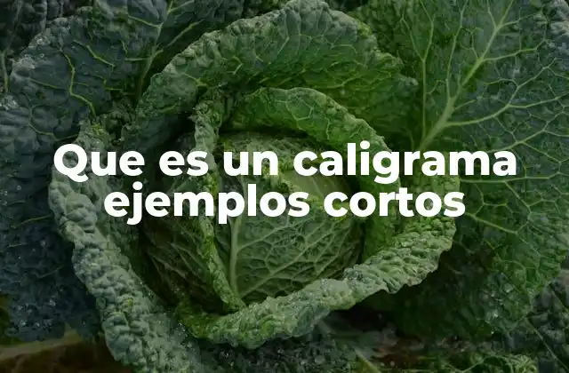 Que es un Caligrama Ejemplos Cortos