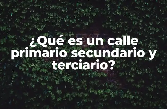 ¿qué es un Calle Primario Secundario y Terciario?