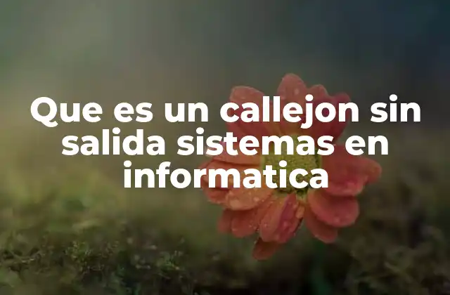 Que es un Callejon sin Salida Sistemas en Informatica