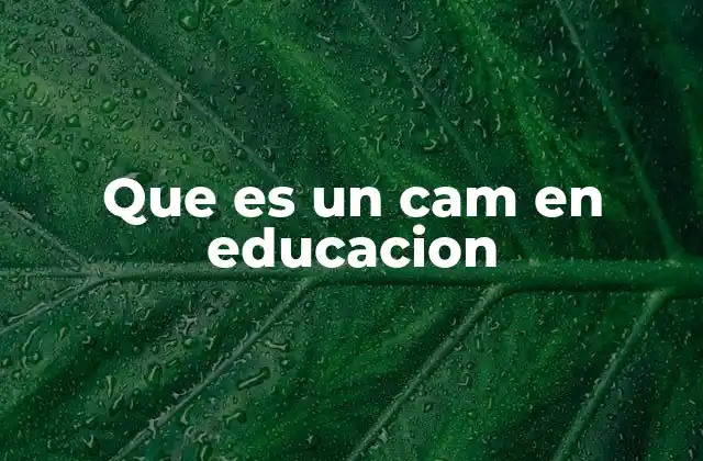 Que es un Cam en Educacion