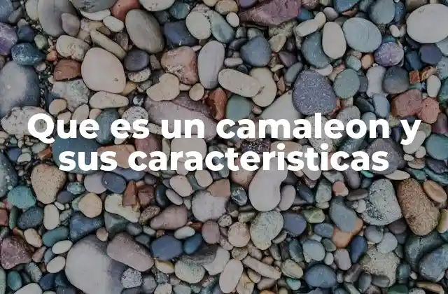 Que es un Camaleon y Sus Caracteristicas