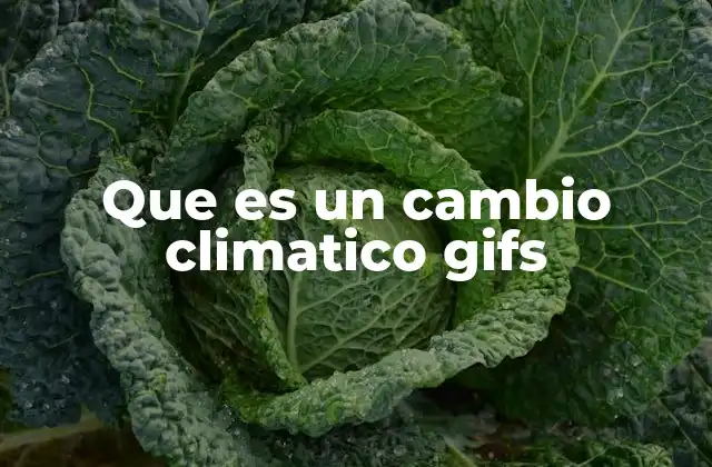 Que es un Cambio Climatico Gifs 2 El poder visual de los GIFs en la comunicación ambiental
