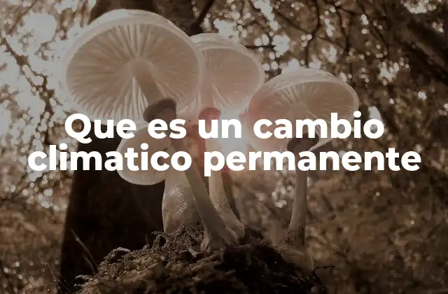 Que es un Cambio Climatico Permanente