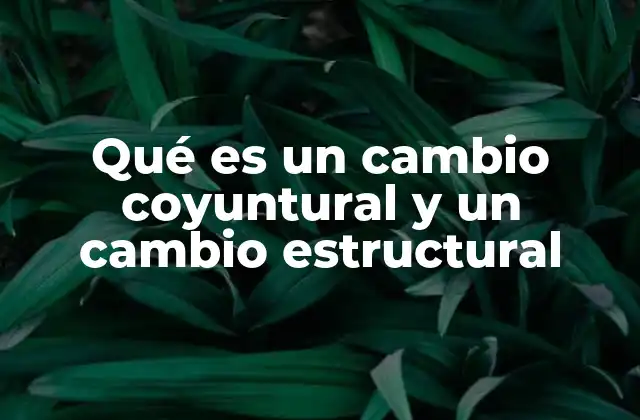 Qué es un Cambio Coyuntural y un Cambio Estructural