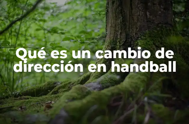 Qué es un Cambio de Dirección en Handball