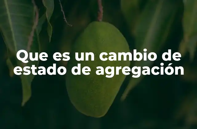 La importancia de los estados de la materia en la naturaleza