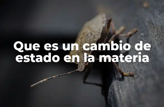 Que es un Cambio de Estado en la Materia