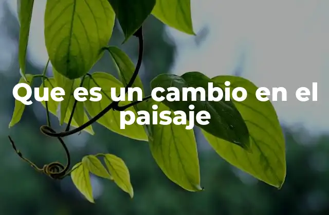 Que es un Cambio en el Paisaje