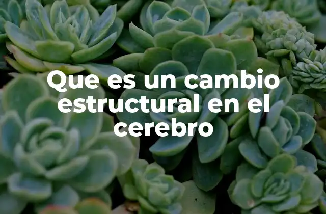 Cómo el cerebro responde al entorno