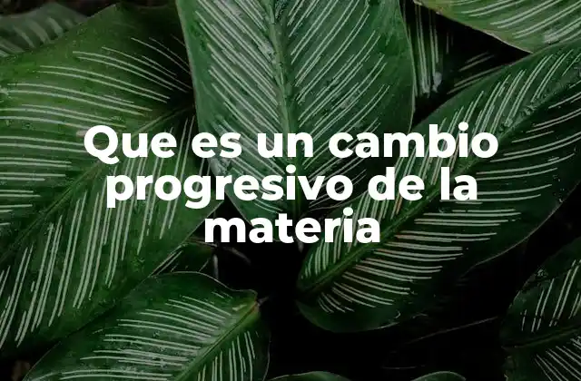 Que es un Cambio Progresivo de la Materia