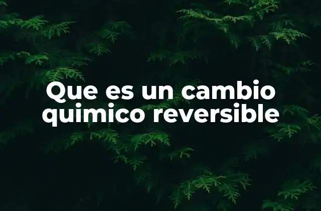 Que es un Cambio Quimico Reversible