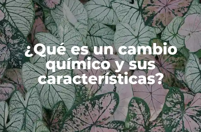 ¿qué es un Cambio Químico y Sus Características?