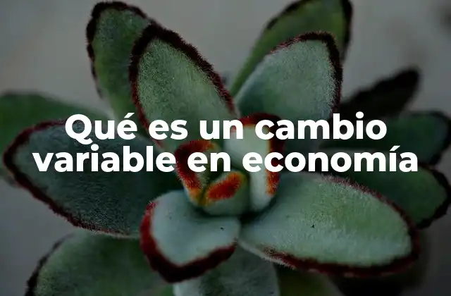 Qué es un Cambio Variable en Economía