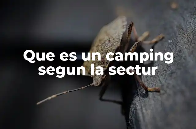 Que es un Camping Segun la Sectur