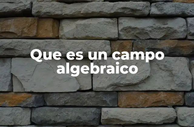 Que es un Campo Algebraico