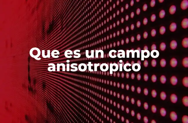 Que es un Campo Anisotropico