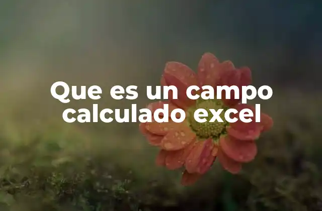 Que es un Campo Calculado Excel