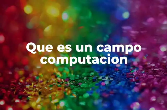 Que es un Campo Computacion 2 ¿Cómo se clasifican los campos dentro de la computación?