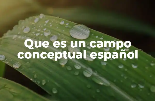 Que es un Campo Conceptual Español