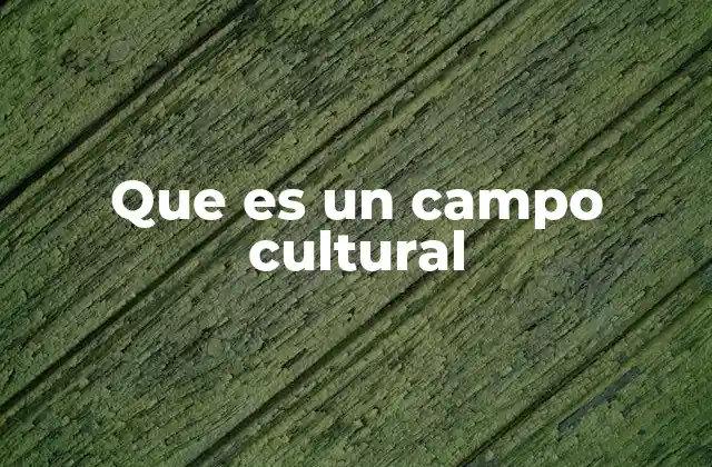 Que es un Campo Cultural