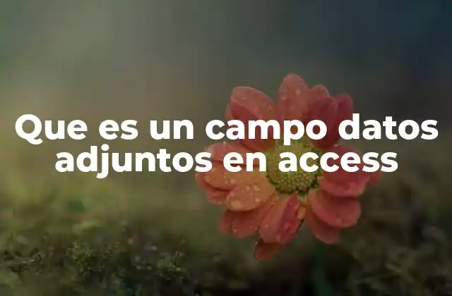 Que es un Campo Datos Adjuntos en Access
