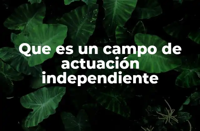 Que es un Campo de Actuación Independiente 2 La importancia del autonomía en el desarrollo profesional