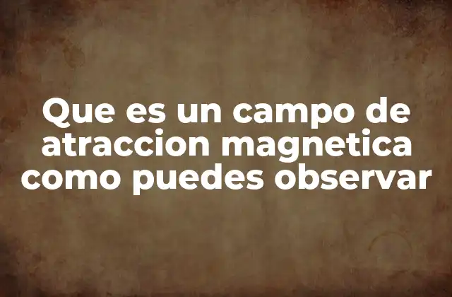 Que es un Campo de Atraccion Magnetica como Puedes Observar
