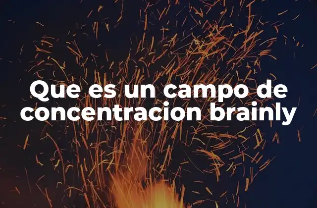 Que es un Campo de Concentracion Brainly