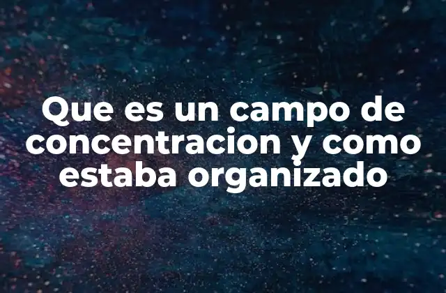 Que es un Campo de Concentracion y como Estaba Organizado 2 La estructura física y social de los campos de concentración