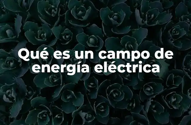 Qué es un Campo de Energía Eléctrica