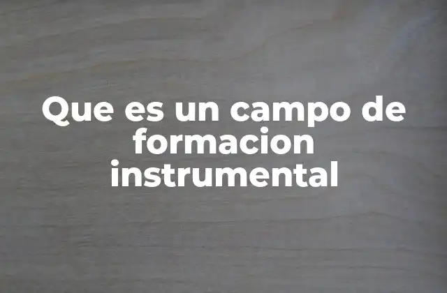 Que es un Campo de Formacion Instrumental
