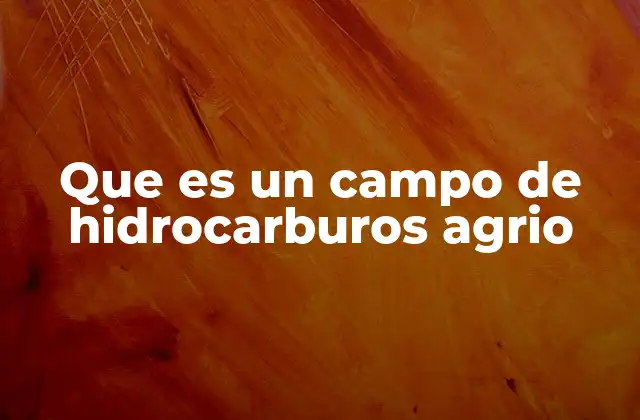 Que es un Campo de Hidrocarburos Agrio