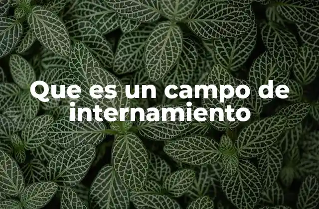 Que es un Campo de Internamiento