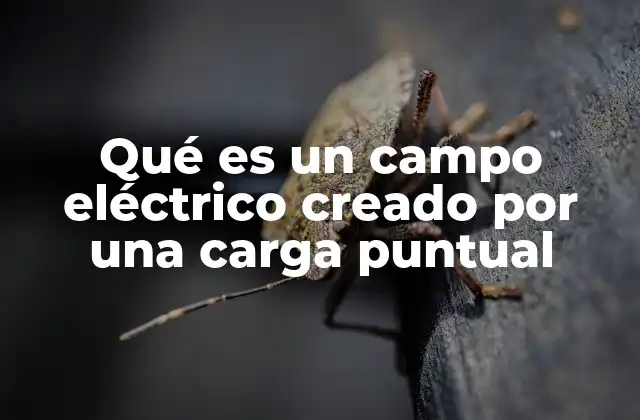 Qué es un Campo Eléctrico Creado por una Carga Puntual