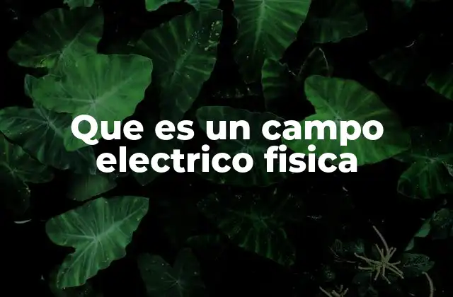 Cómo se forma el campo eléctrico