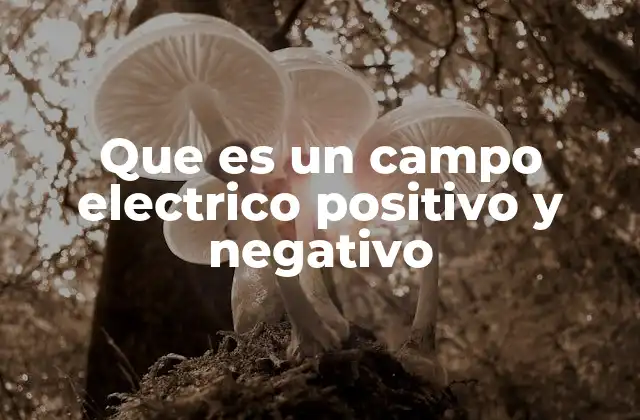 Que es un Campo Electrico Positivo y Negativo